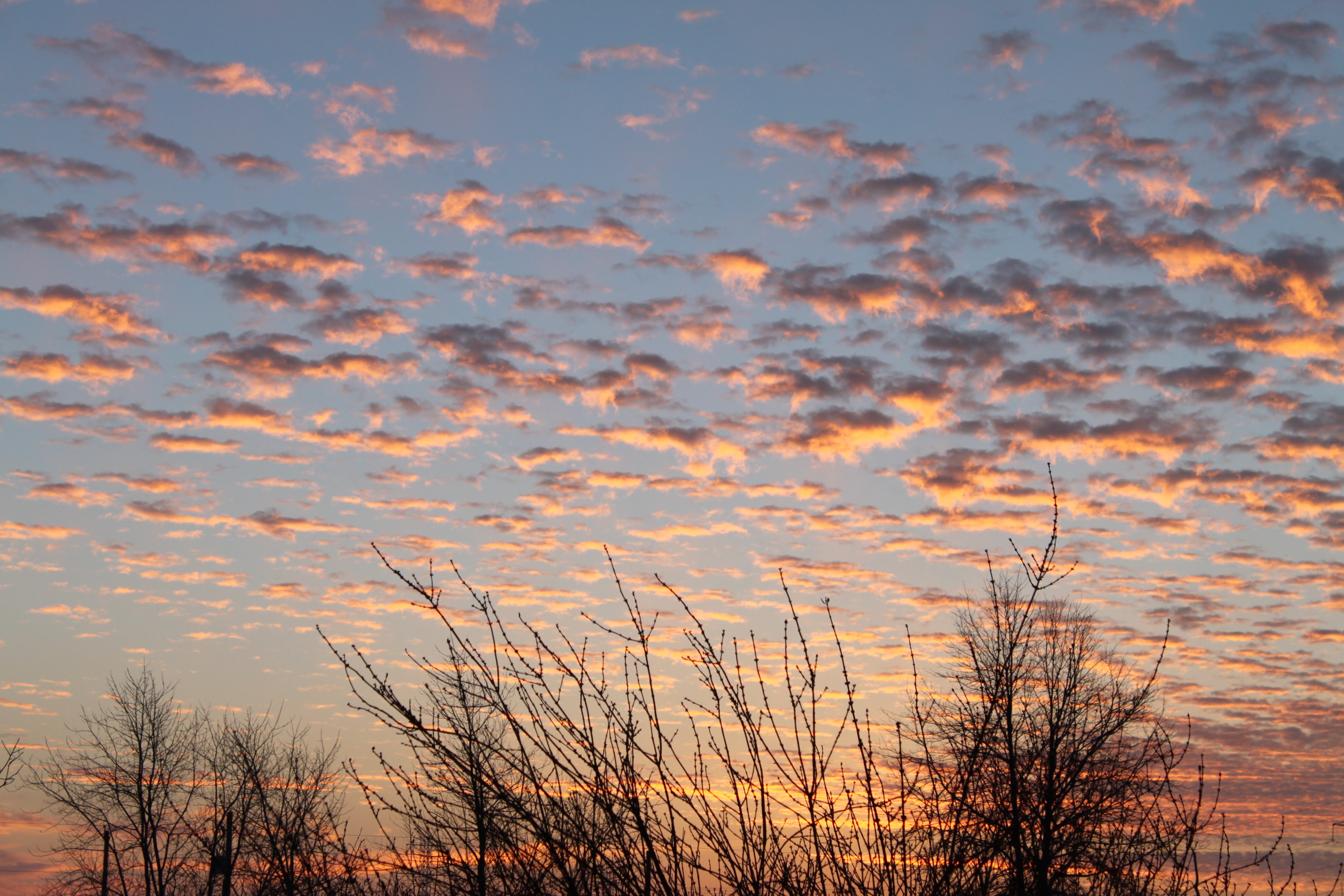 Nov Dec 2012 273