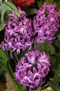 Feb 2013 057