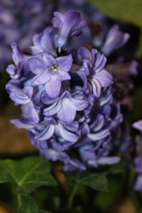 Feb 2013 058