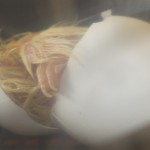 Hatching out